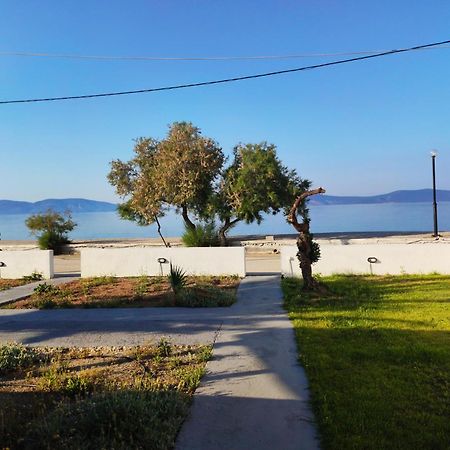 V&E'S Apartments Pigadhia  Dış mekan fotoğraf