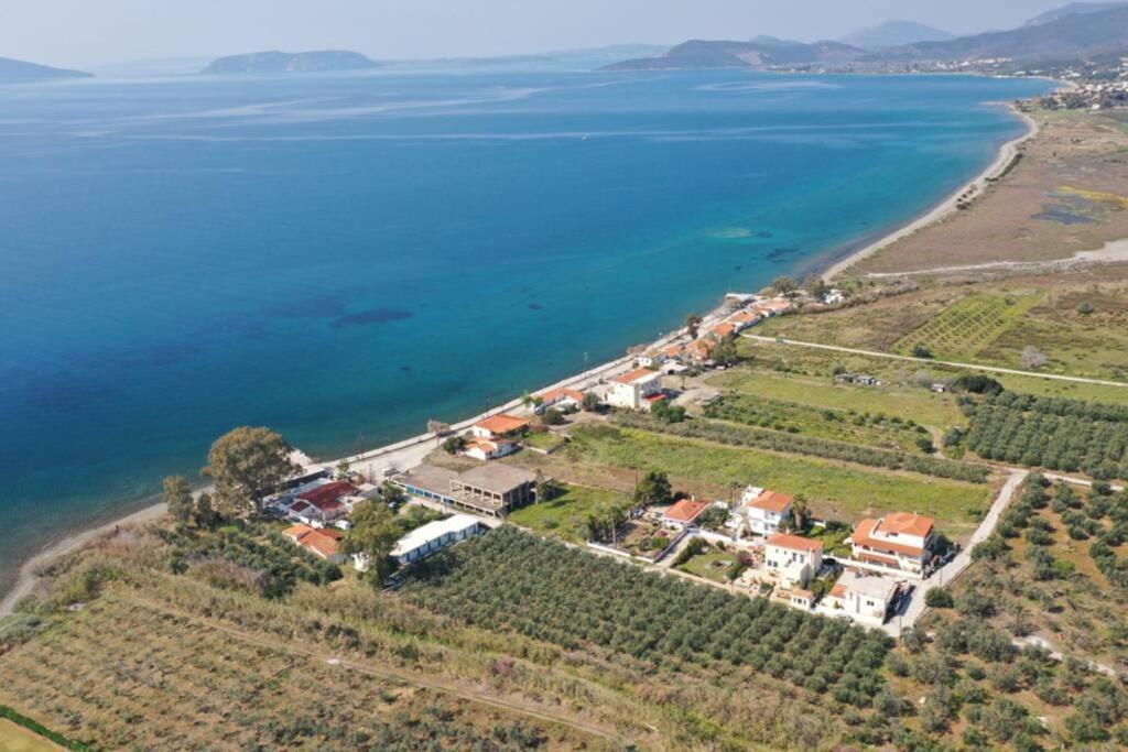 V&E'S Apartments Pigadhia  Dış mekan fotoğraf