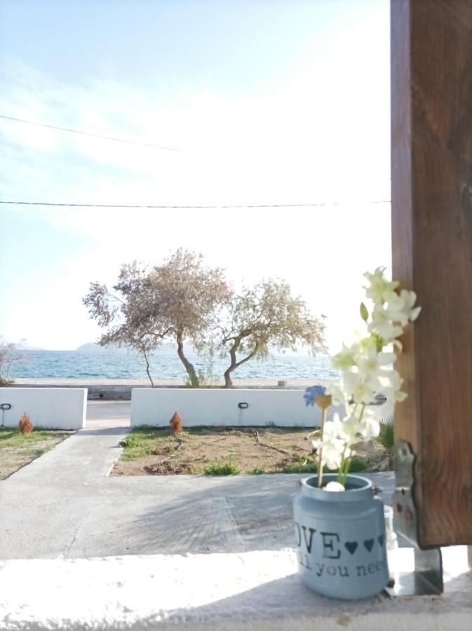 V&E'S Apartments Pigadhia  Dış mekan fotoğraf