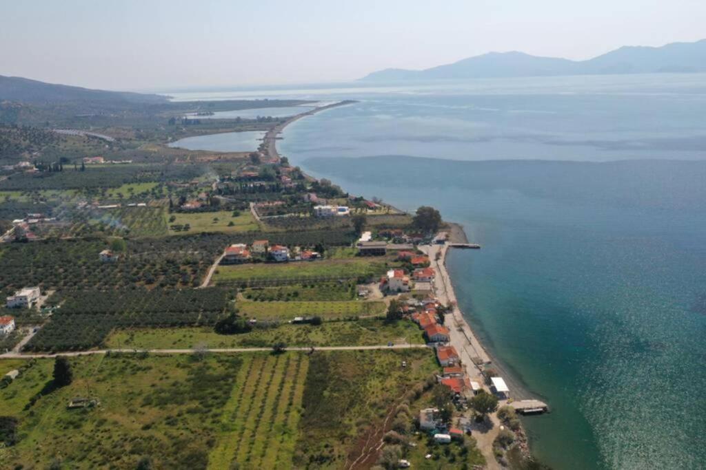 V&E'S Apartments Pigadhia  Dış mekan fotoğraf
